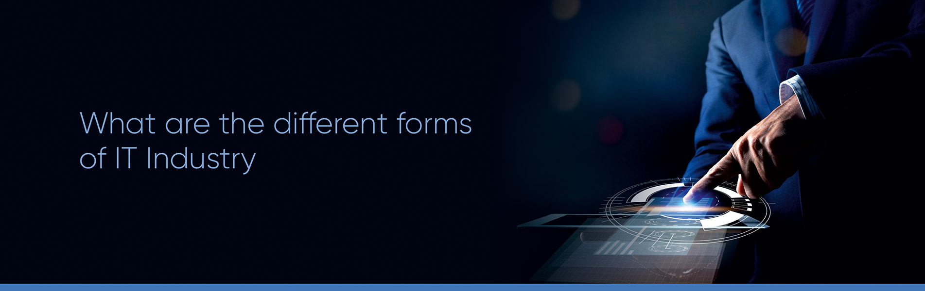 What are the different forms of IT industry