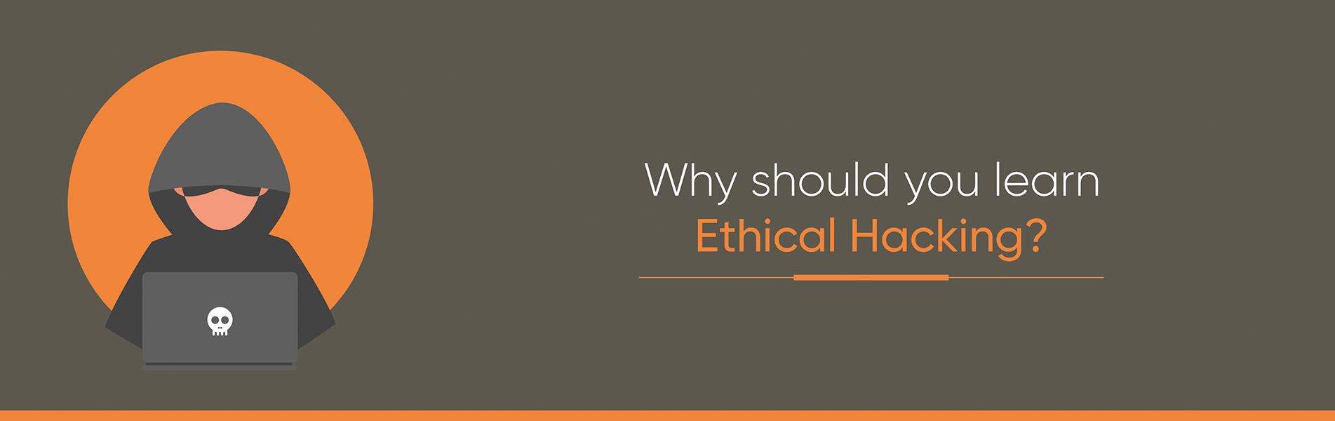 Why should you learn Ethical Hacking?