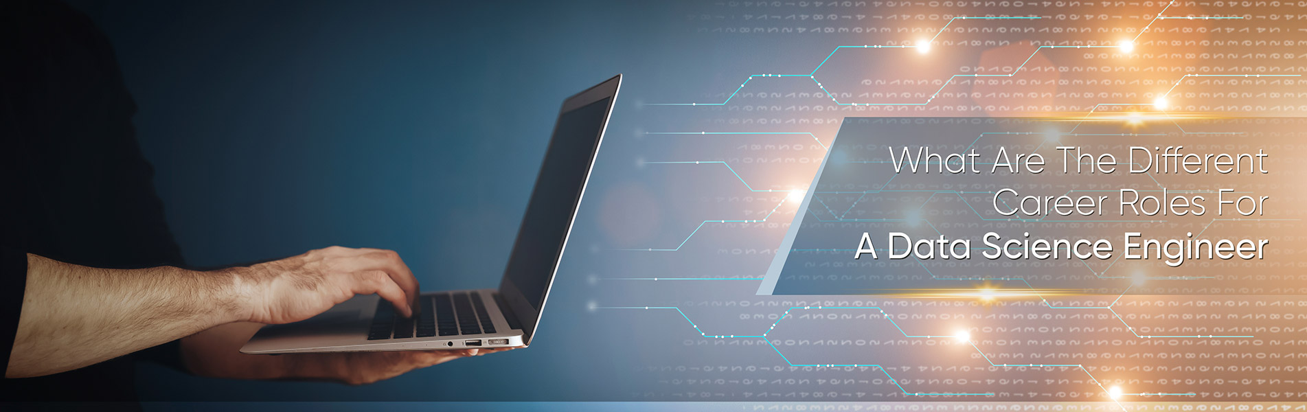 What are the different career roles for a Data Science Engineer