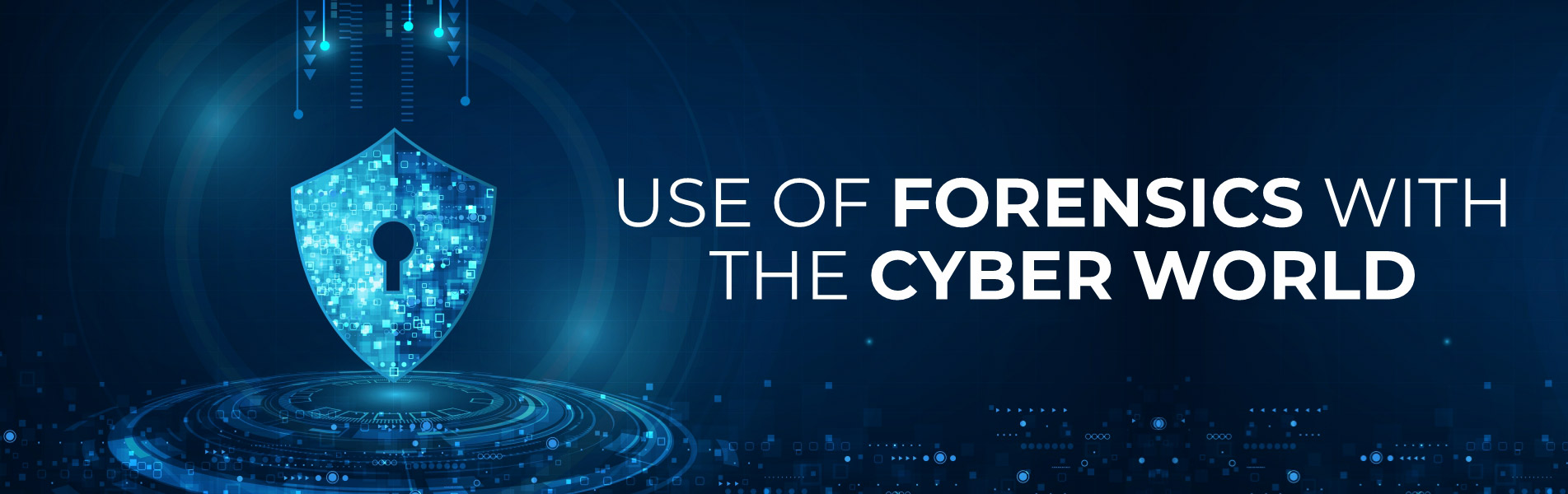 Use of Forensics with The Cyber World