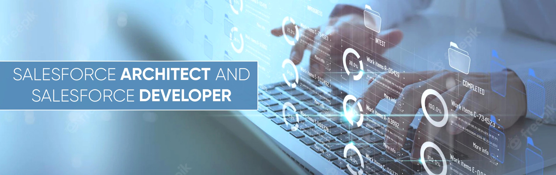 Salesforce Architect and Salesforce Developer
