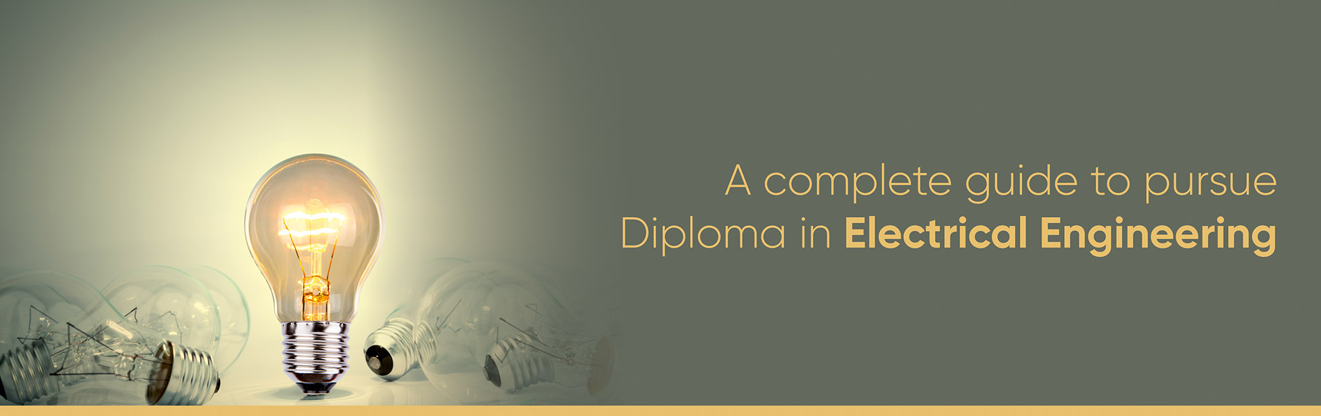 A complete guide to pursue Diploma in Electrical Engineering