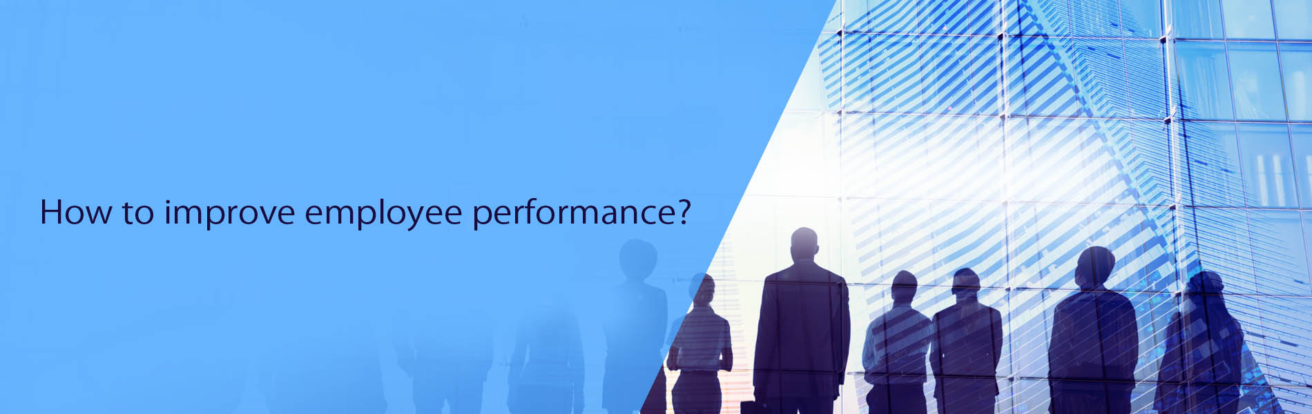 How to improve employee performance?