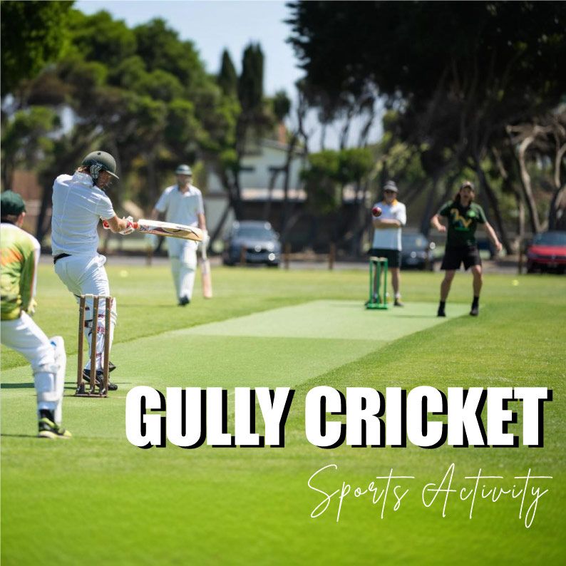 Gully Cricket Activity